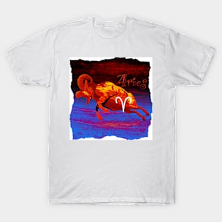 Aries T-Shirt